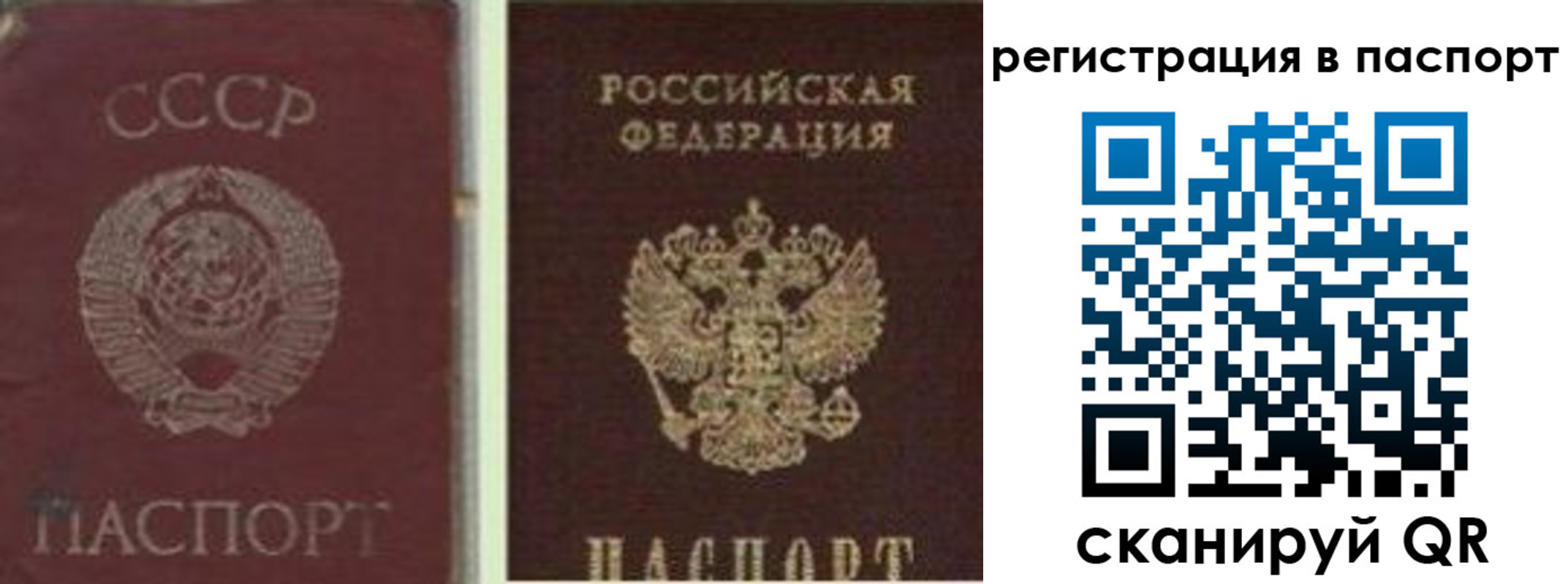 прописка для работы в Балашихе